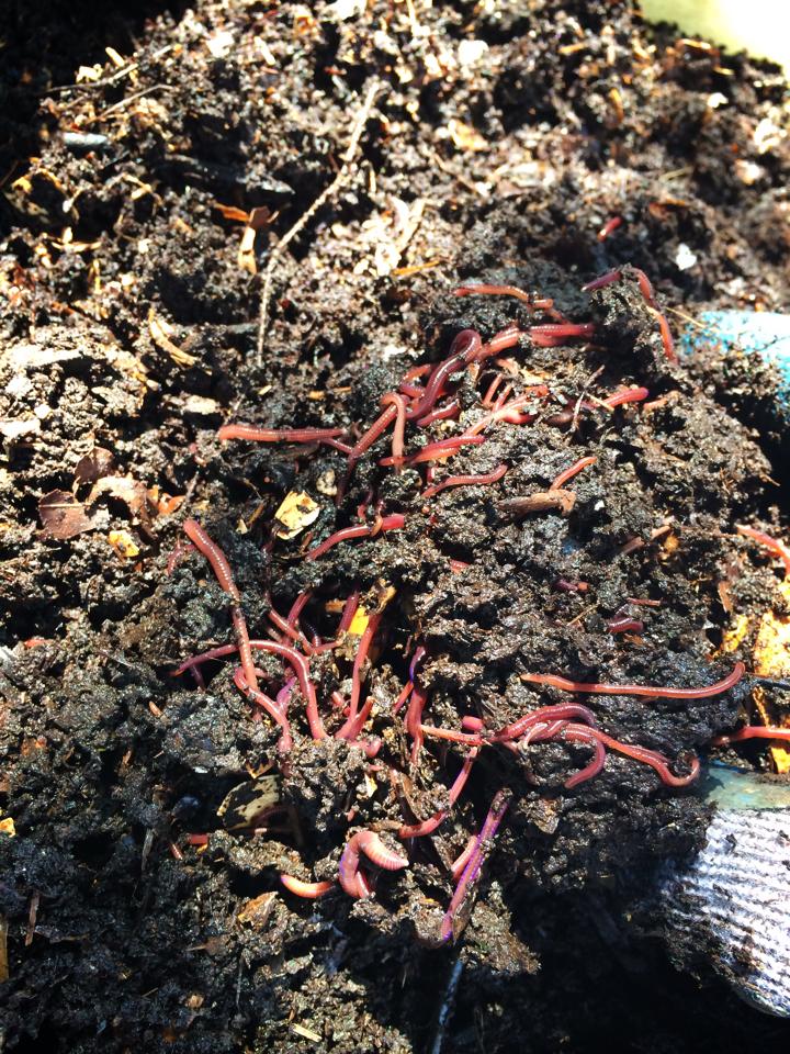 10372765_315638235282830_2790553725982245157_n